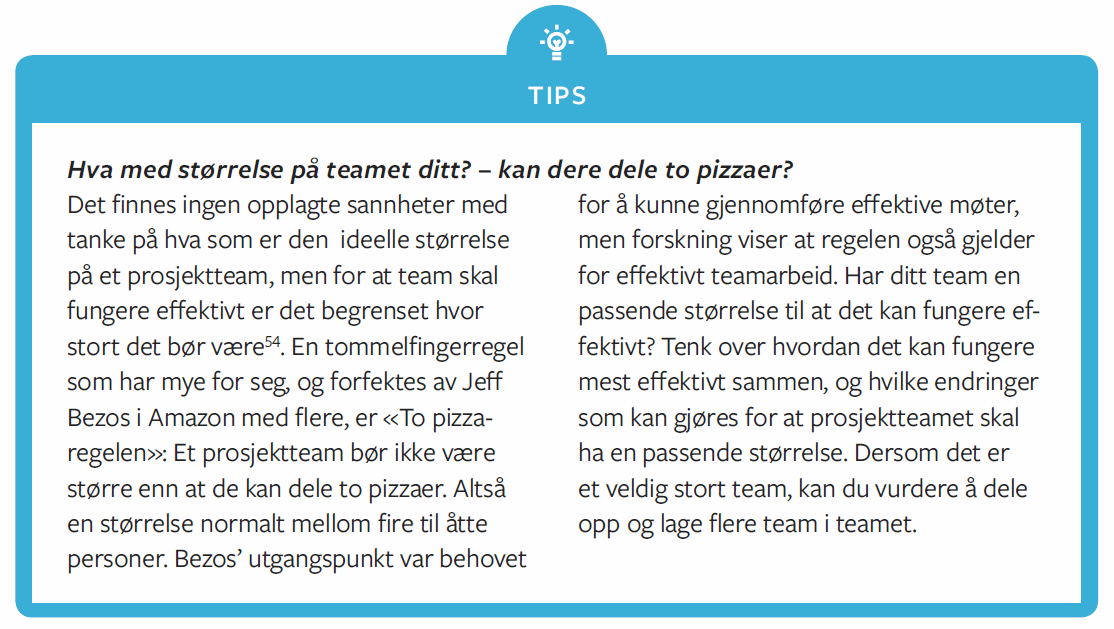 Tips - 2 pizza størrelse